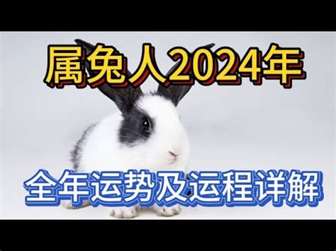 2024 兔年|属兔人2024年全年整体运势及每月运势详解